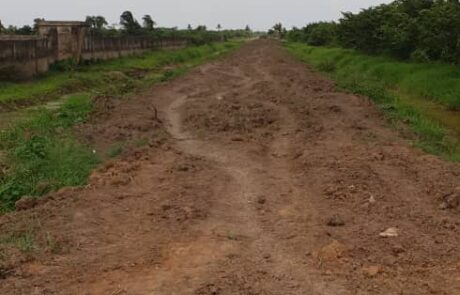 Site clearing – access road